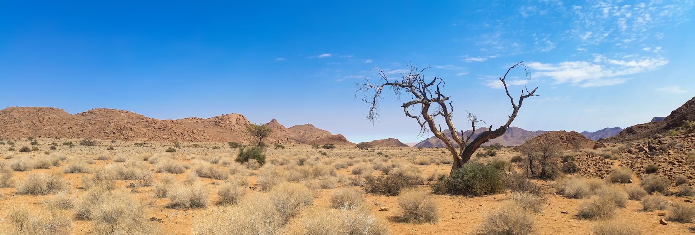 Prive jet naar Namibië