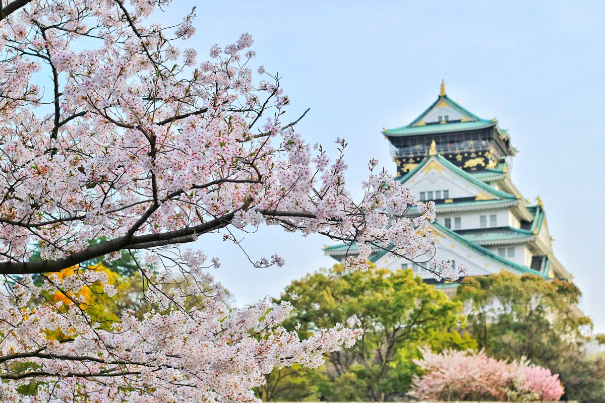 Prive jet naar Osaka