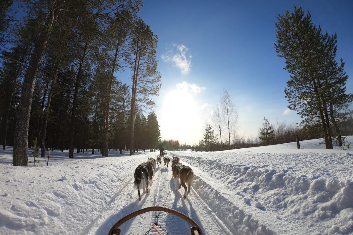 Prive jet naar Rovaniemi